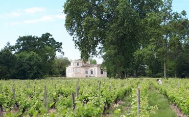 20200516_115540rognée